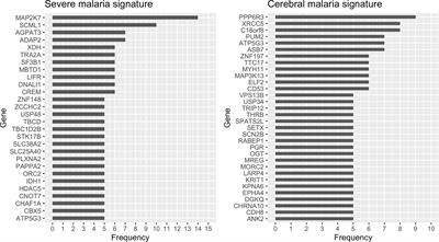 Host Blood Gene Signatures Can Detect the Progression to Severe and Cerebral Malaria